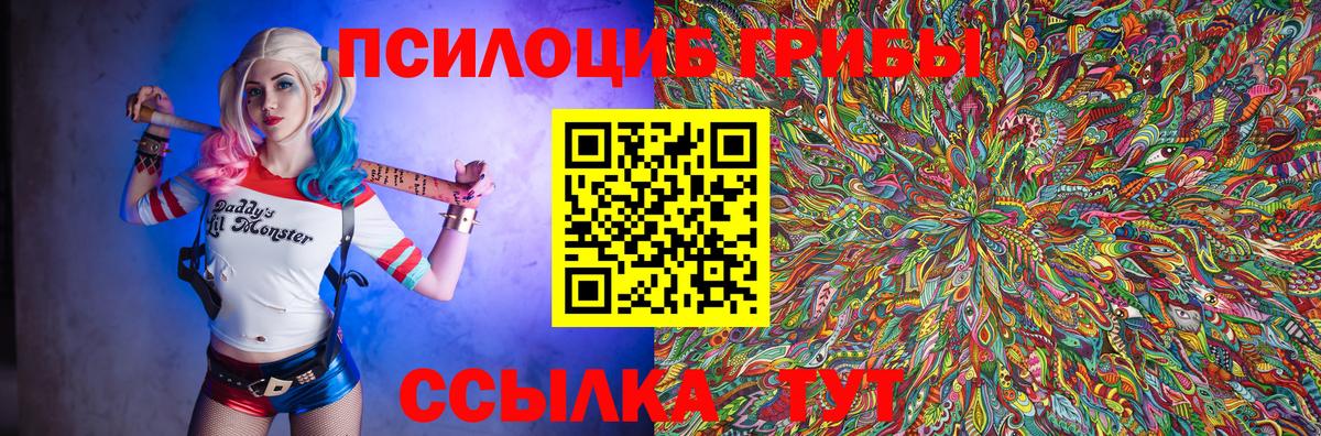 Галлюциногенные грибы Psilocybine cubensis Чернушка