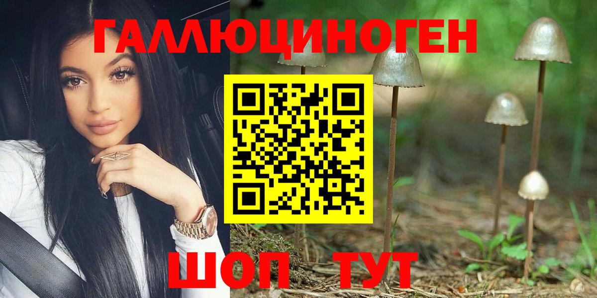Псилоцибиновые грибы Psilocybe  Вход с VPN  Чернушка 